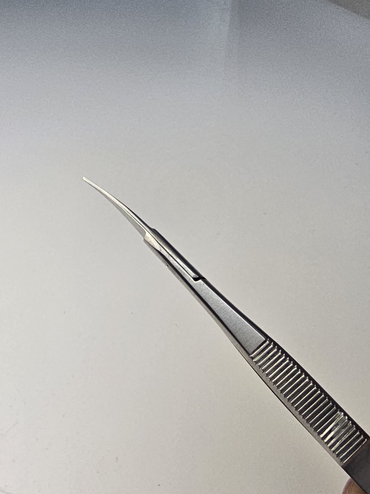 Spring Right Handed Scissors