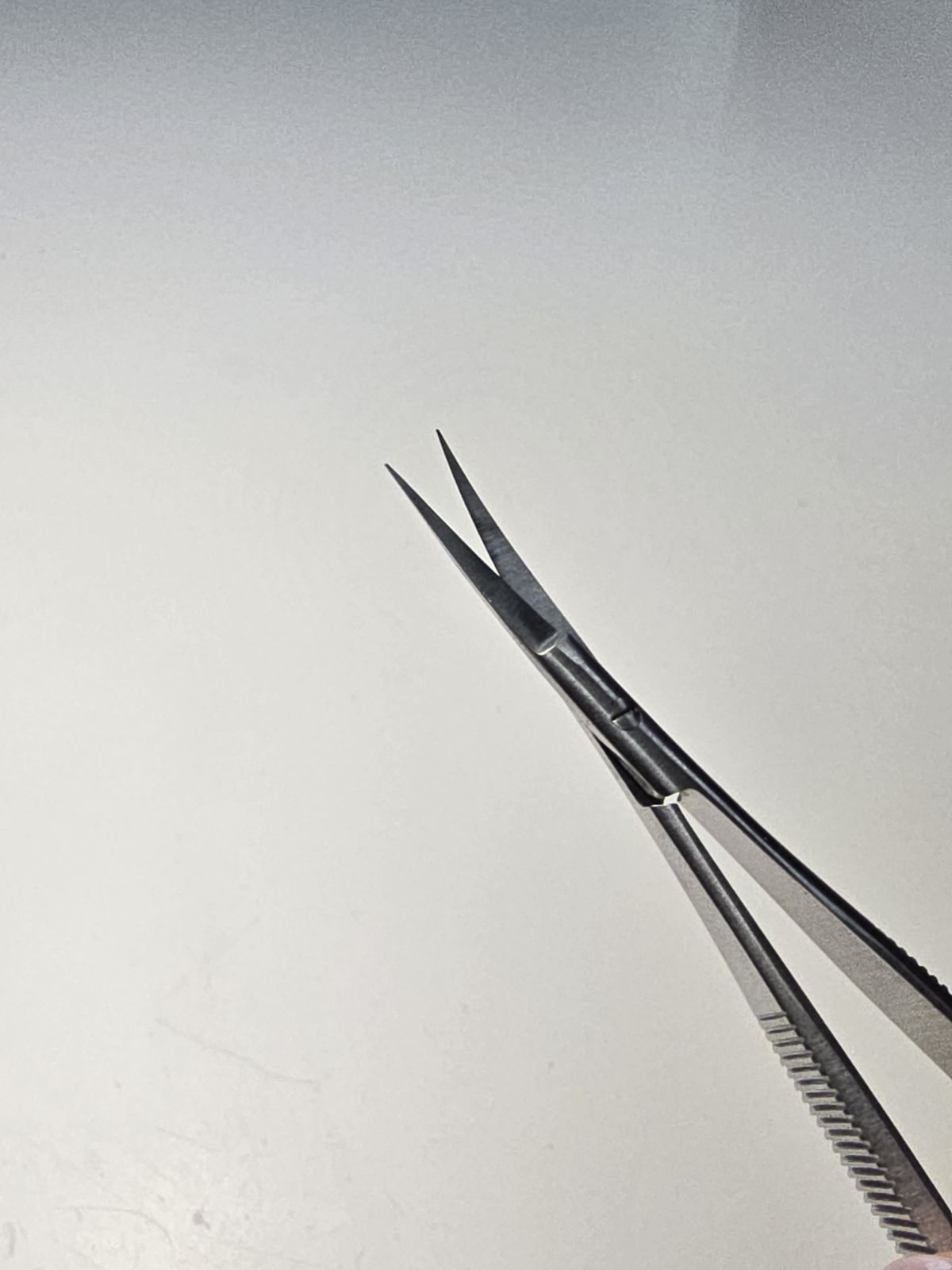 Spring Right Handed Scissors