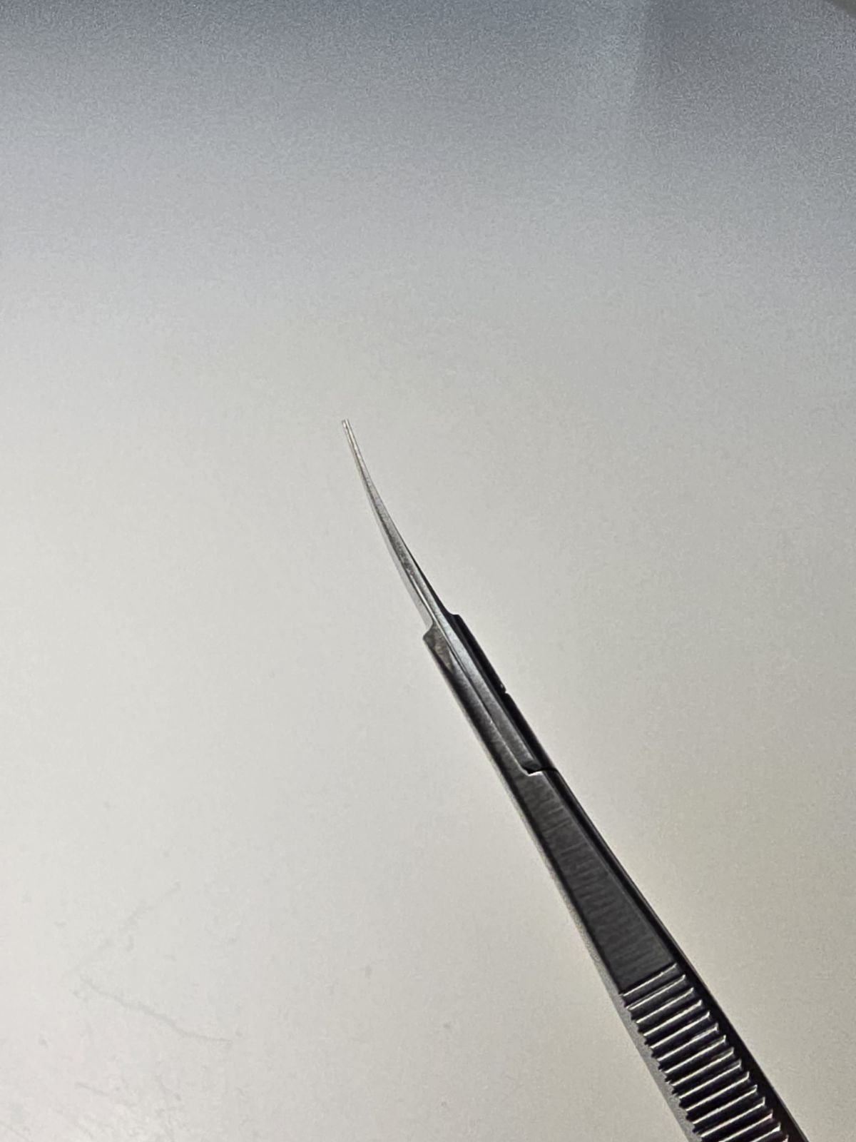 Spring Right Handed Scissors